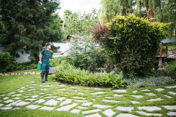 Best Affordable Pest Control Services  in Highland Springs, VA